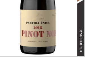 Lee más sobre el artículo Estos son los mejores nuevos vinos argentinos que hay que probar en 2026